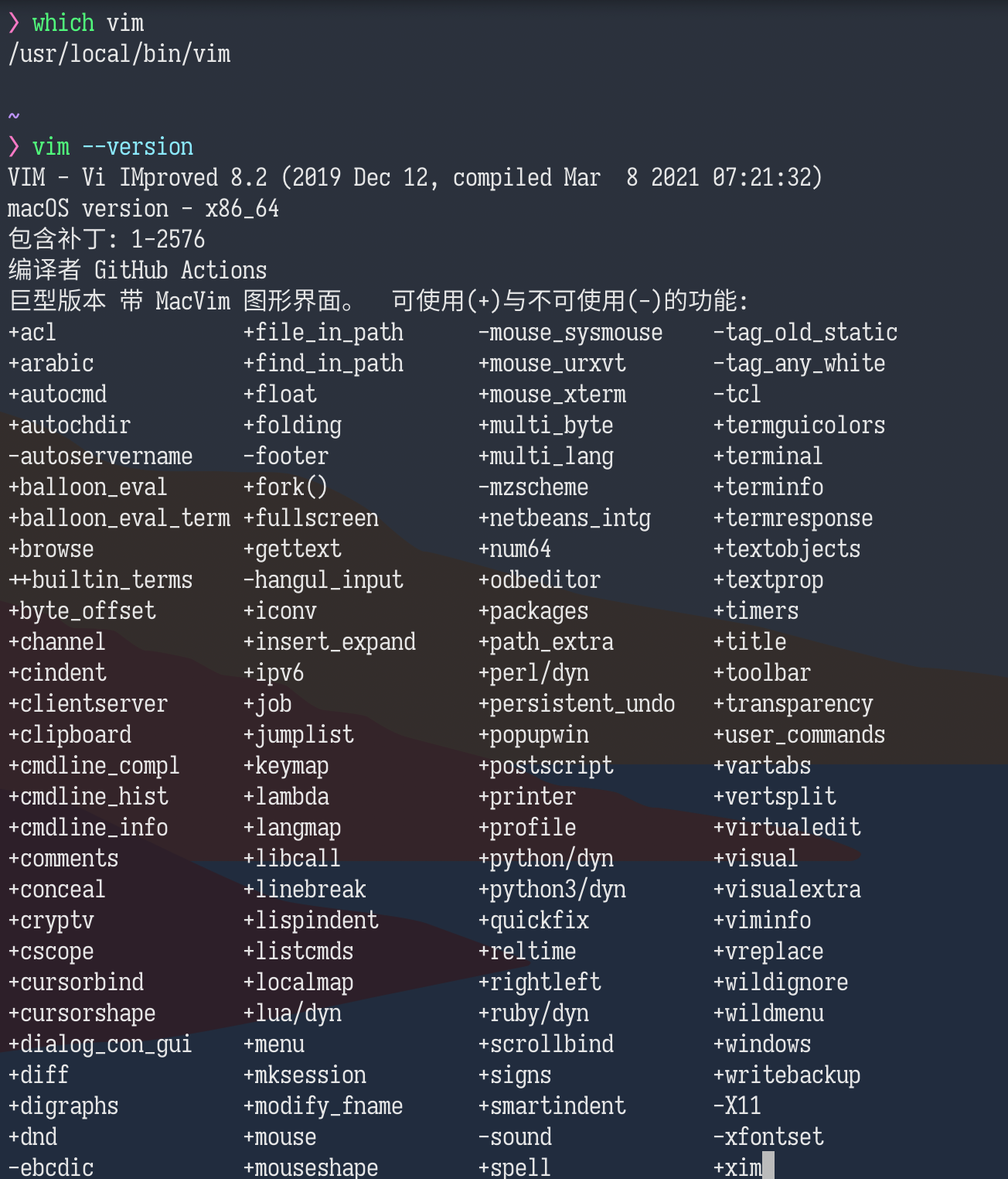 new-vim